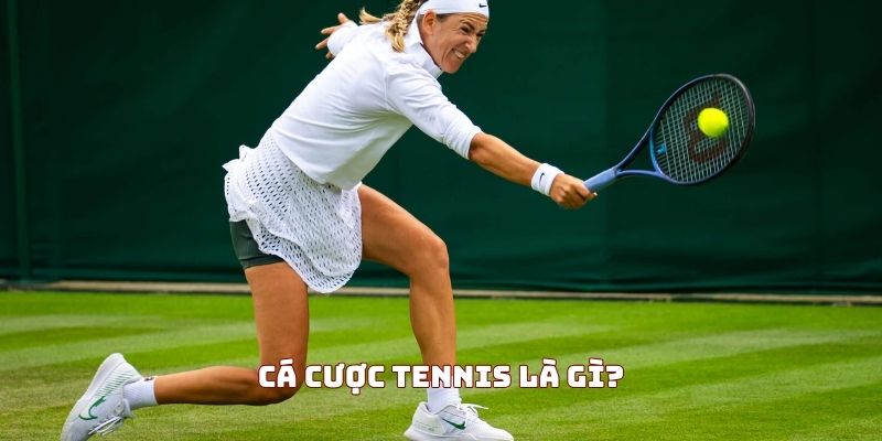 Cá độ tennis là một hình thức cược hấp dẫn