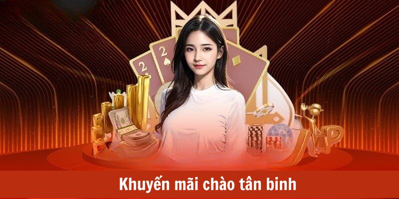Tìm hiểu chương trình ưu đãi dành cho thành viên mới tham gia